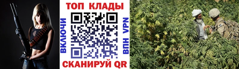 Как найти закладки Ясногорск ГАШИШ  Кокаин  Меф мяу мяу  АМФЕТАМИН  Каннабис 