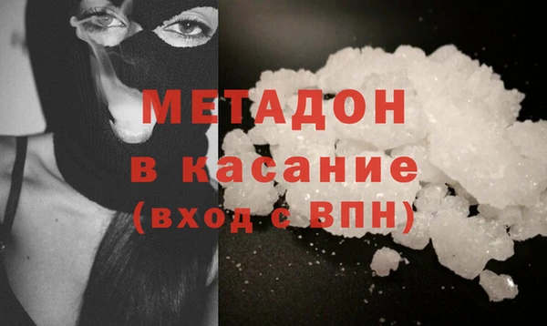шишки Няндома