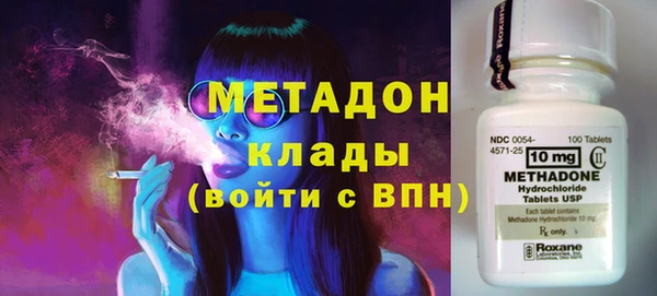 шишки Няндома
