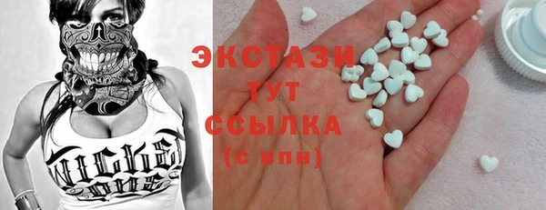 шишки Няндома