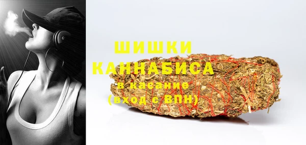 шишки Няндома