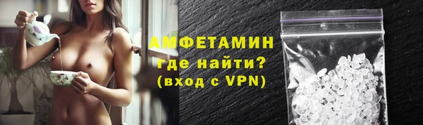 шишки Няндома