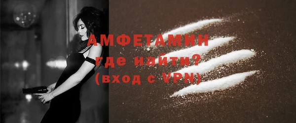 шишки Няндома