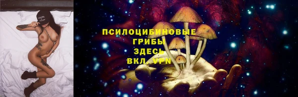 мескалин Нязепетровск