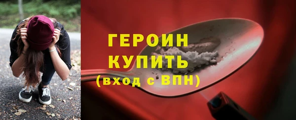 шишки Няндома