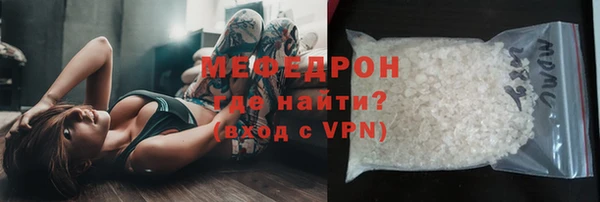 шишки Няндома