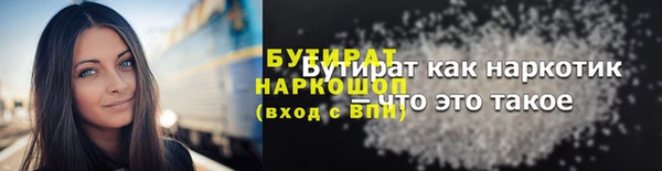 шишки Няндома