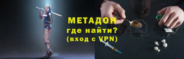 шишки Няндома