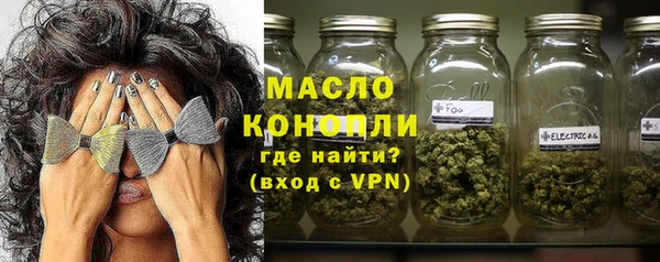 шишки Няндома