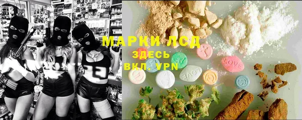 шишки Няндома