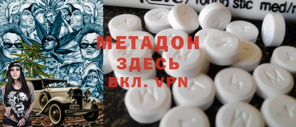шишки Няндома