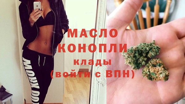 шишки Няндома