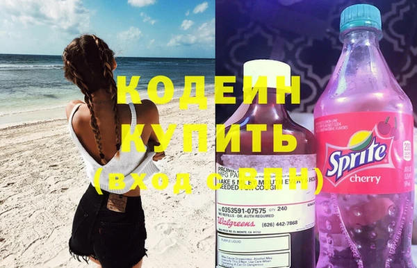 шишки Няндома