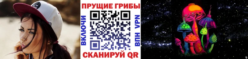 Псилоцибиновые грибы Psilocybine cubensis  Ясногорск 