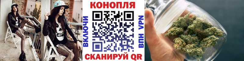 Канабис OG Kush Ясногорск